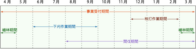 事業スケジュール